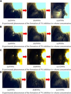 An Experimental Study on the Formation of Natural Gas Hydrate With Thermodynamic Inhibitors 